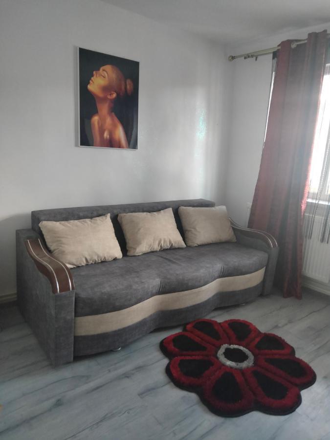 Apartament Geo Nehoiu Exterior foto