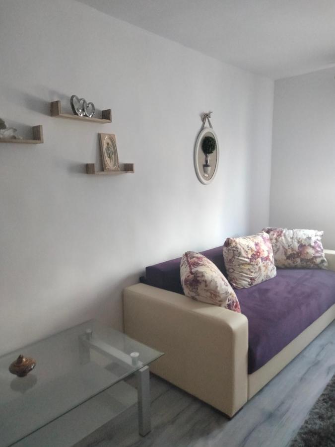 Apartament Geo Nehoiu Exterior foto