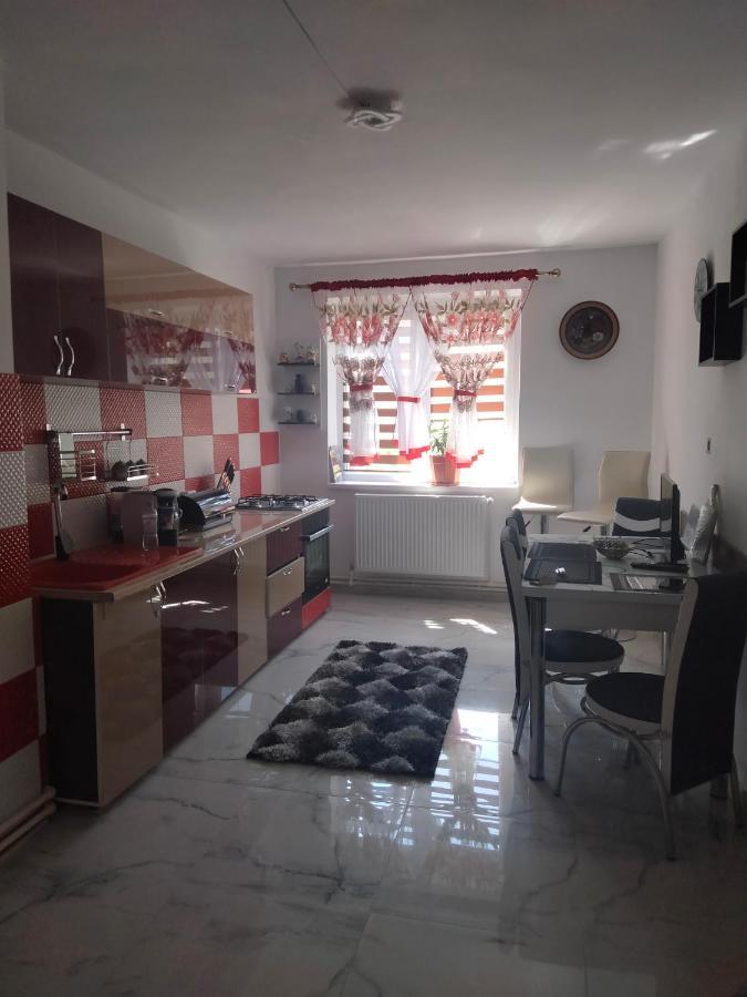 Apartament Geo Nehoiu Exterior foto