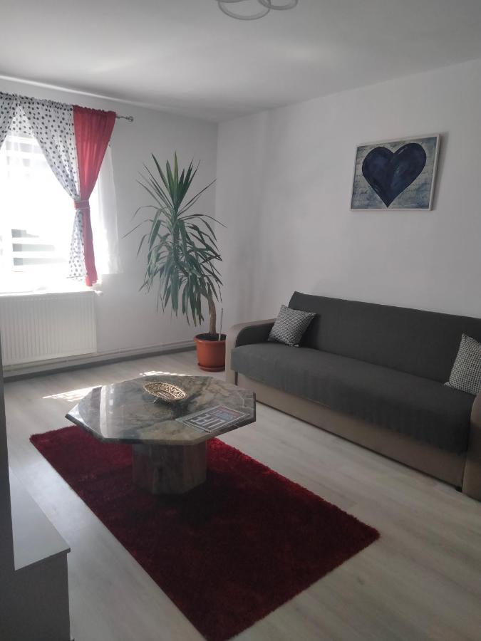 Apartament Geo Nehoiu Exterior foto